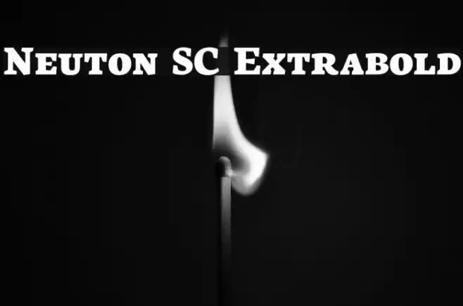 Neuton SC Extrabold Font examples