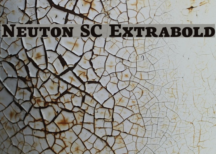 Neuton SC Extrabold Font examples