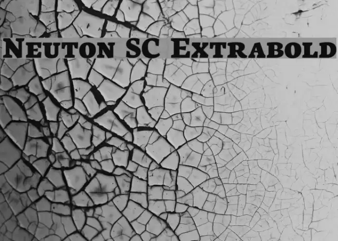 Neuton SC Extrabold Font examples
