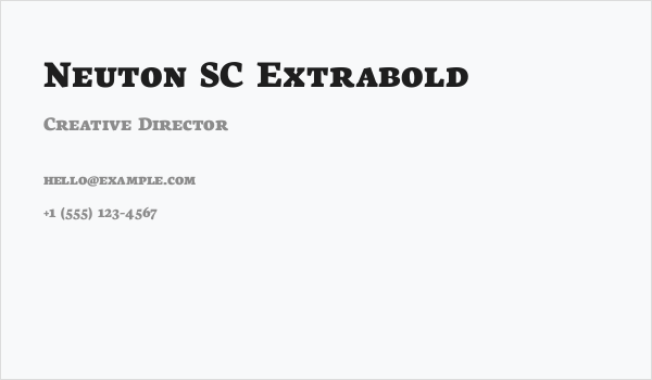 Neuton SC Extrabold Business Card