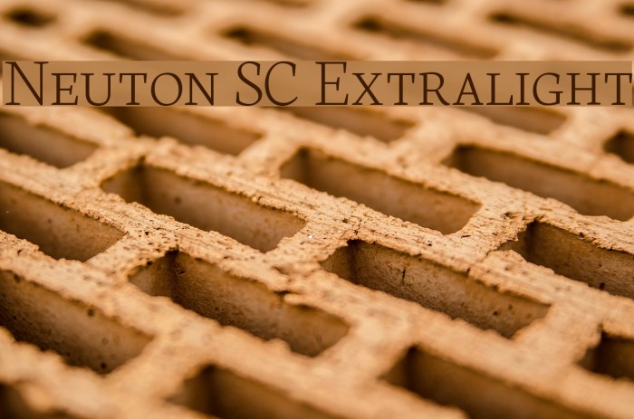 Neuton SC Extralight Fuentes examples