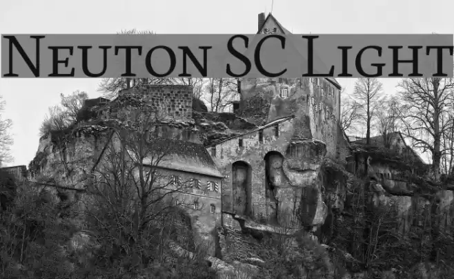 Neuton SC Light Fonte examples