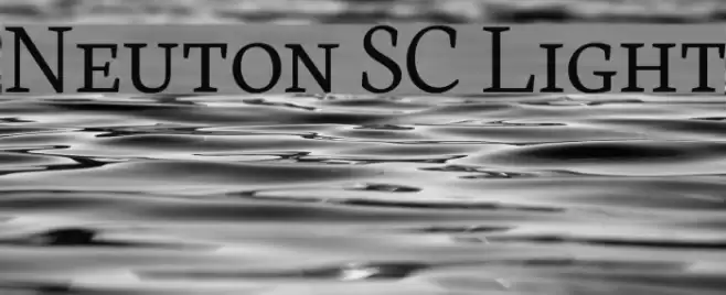 Neuton SC Light Fonte examples