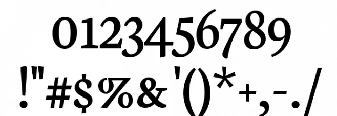 Neuton SC Regular Font OTHER CHARS