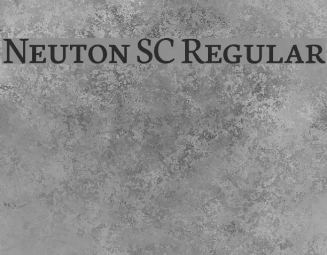Neuton SC Regular Example 1
