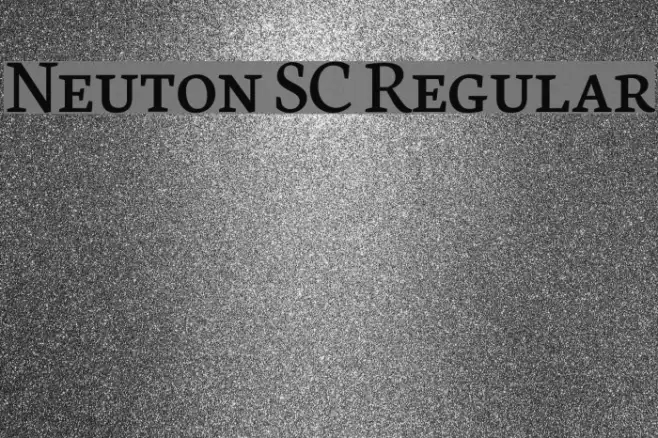 Neuton SC Regular Example 2
