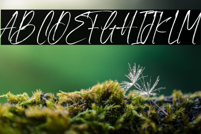 Neutral Autumn Demo Example 1