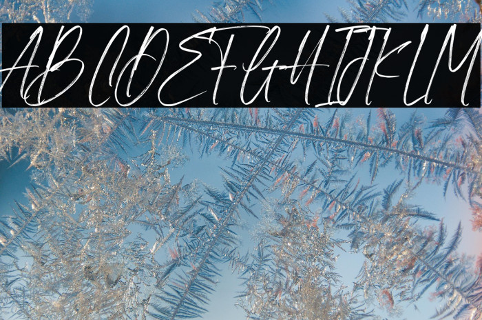 Neutral Autumn Demo Example 2