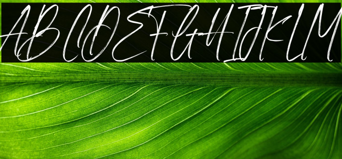 Neutral Autumn Demo Example 3