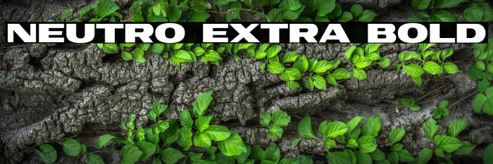 Neutro Extra Bold Example 1