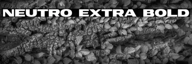 Neutro Extra Bold Font examples