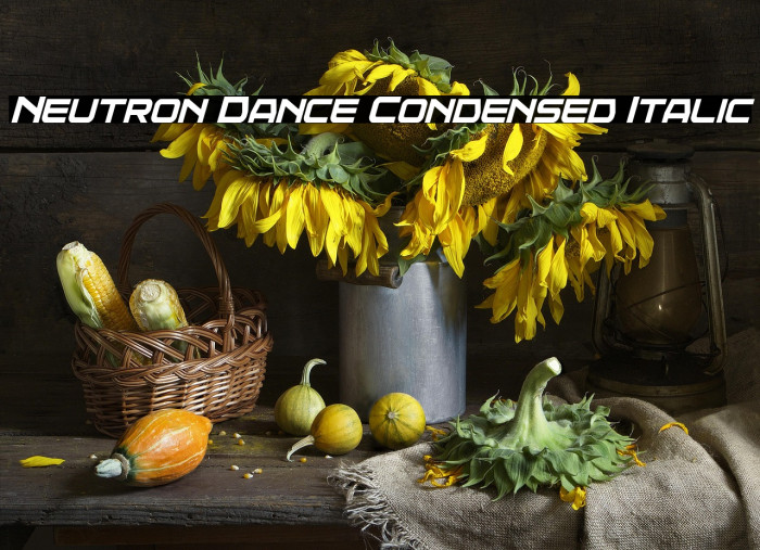 Neutron Dance Condensed Italic Example 1
