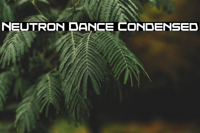 Neutron Dance Condensed Example 1