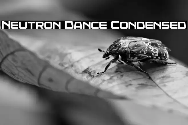 Neutron Dance Condensed Example 2