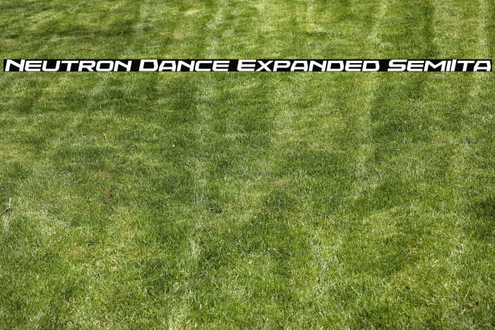 Neutron Dance Expanded SemiIta Example 1