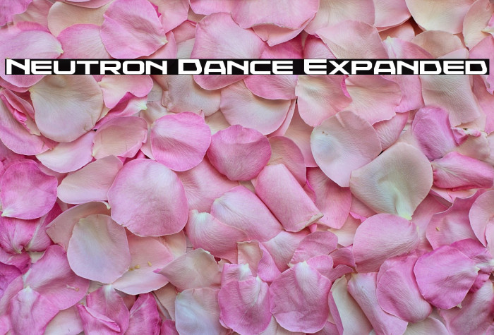 Neutron Dance Expanded Example 1