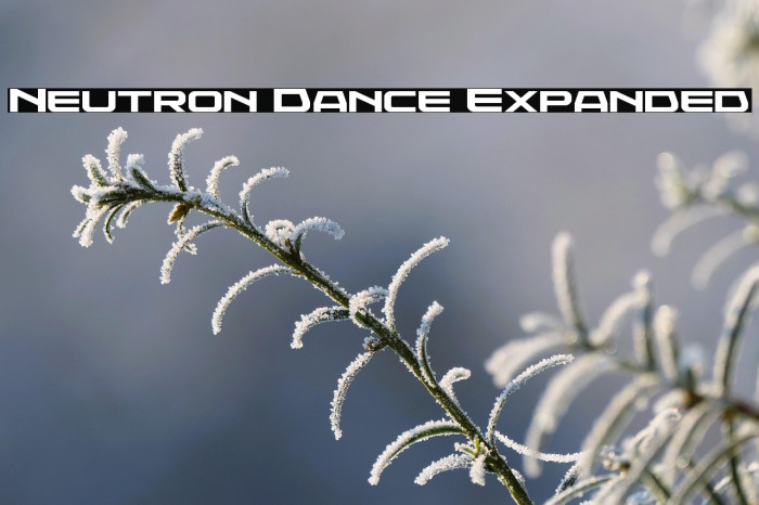 Neutron Dance Expanded Example 3