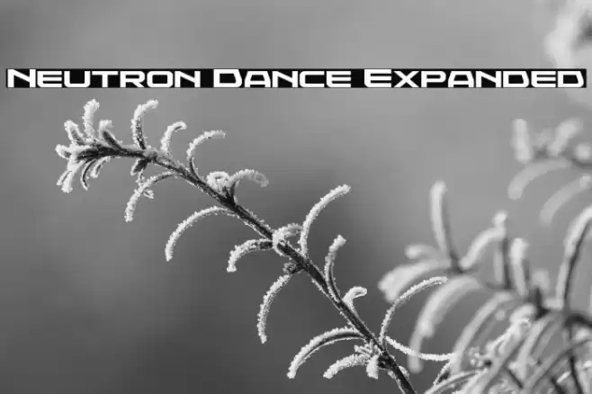 Neutron Dance Expanded Font examples