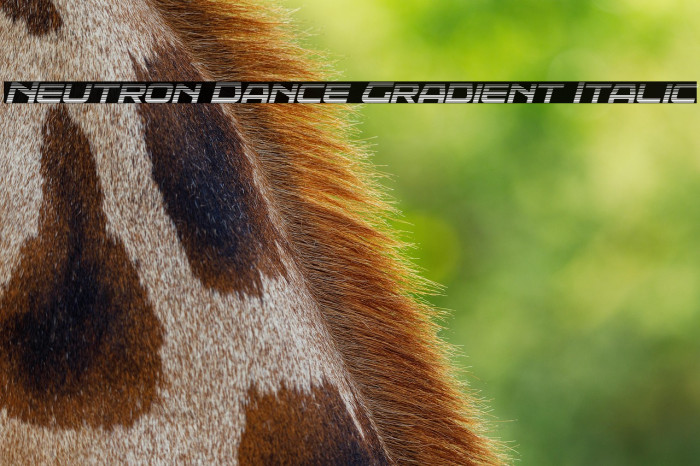 Neutron Dance Gradient Italic Example 1