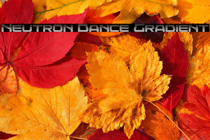 Neutron Dance Gradient Example 1