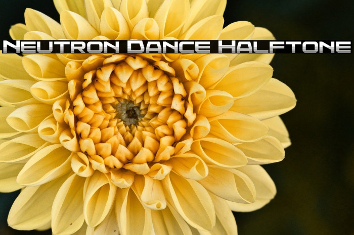 Neutron Dance Halftone Example 2