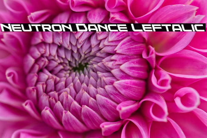 Neutron Dance Leftalic Example 3