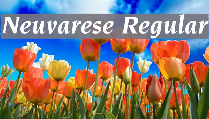 Neuvarese Regular Font examples