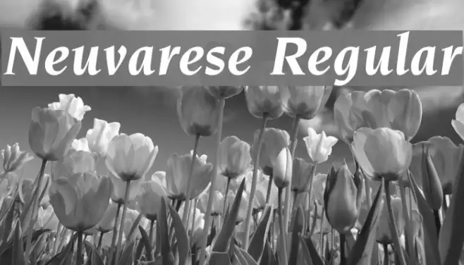 Neuvarese Regular Example 1