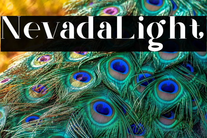 Nevada_Light Example 2