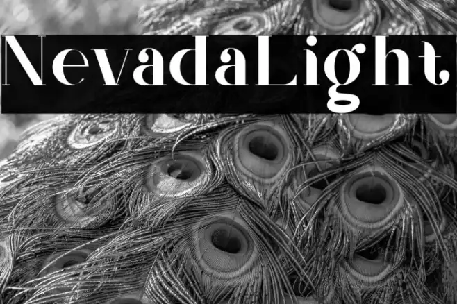 Nevada_Light Example 2