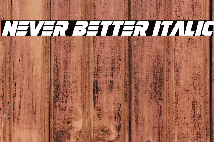 Never Better Italic Example 2