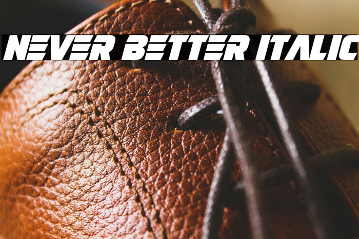 Never Better Italic Example 3