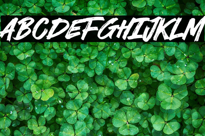 Never Brat Example 1