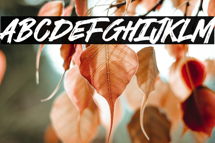 Never Brat Example 2