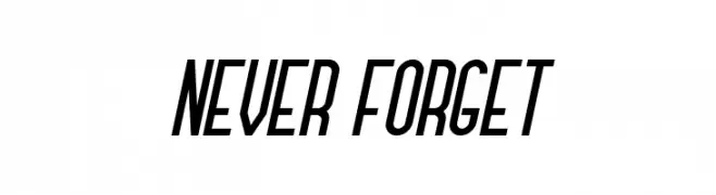 Never Forget  Free Fonts Download