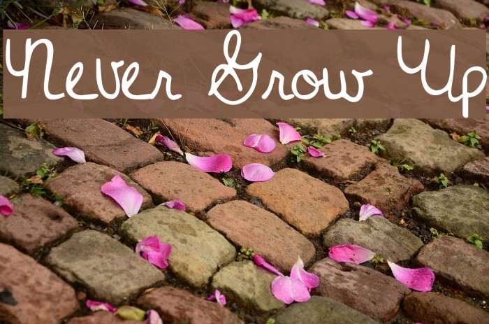 Never Grow Up Font examples
