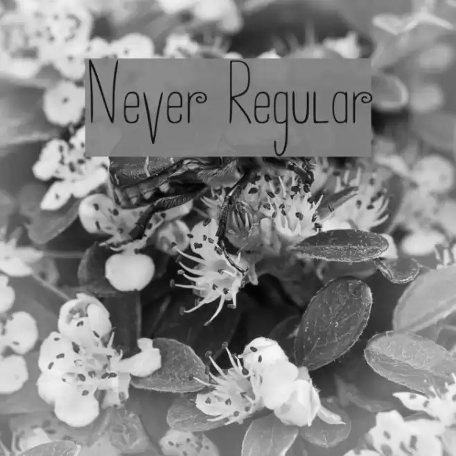 Never Regular Font examples