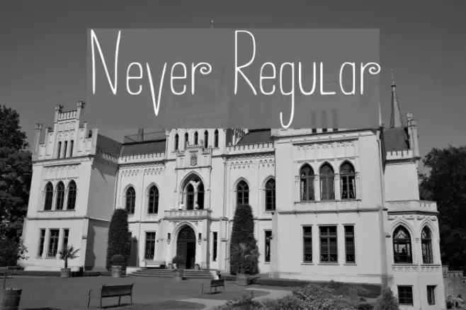 Never Regular Font examples