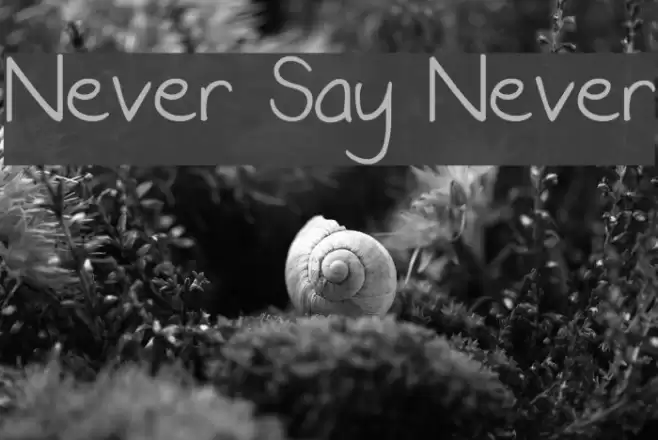 Never Say Never Font examples