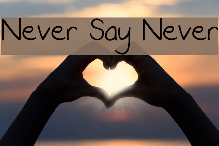 Never Say Never Font examples