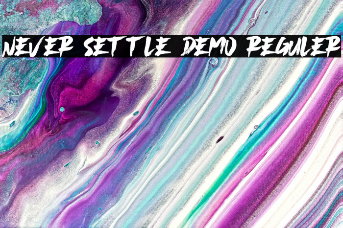 Never Settle Demo Reguler Example 2