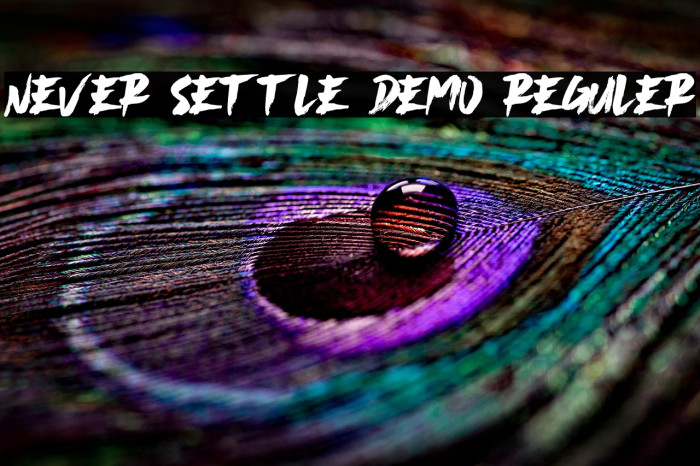 Never Settle Demo Reguler Example 3