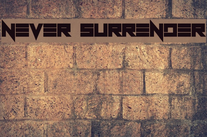 Never surrender перевод. Never Surrender.