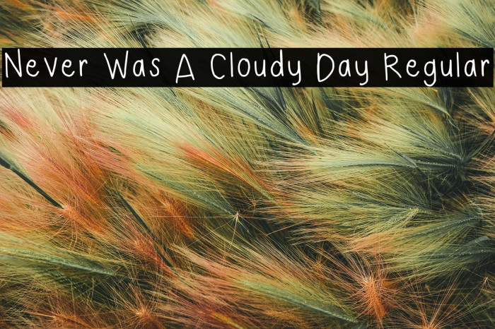 Never Was A Cloudy Day Regular Example 1
