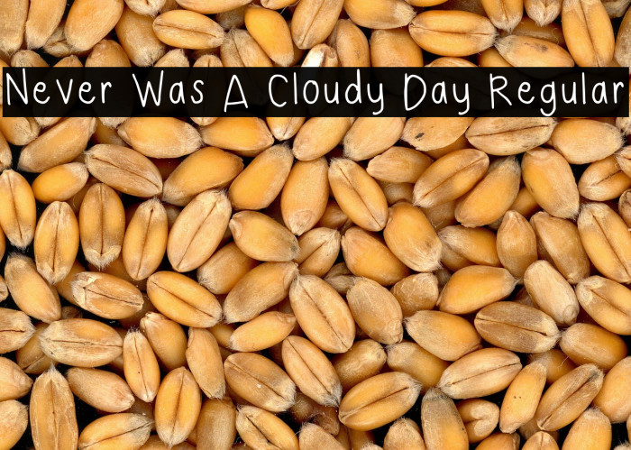 Never Was A Cloudy Day Regular Example 2