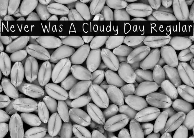 Never Was A Cloudy Day Regular 字体 examples