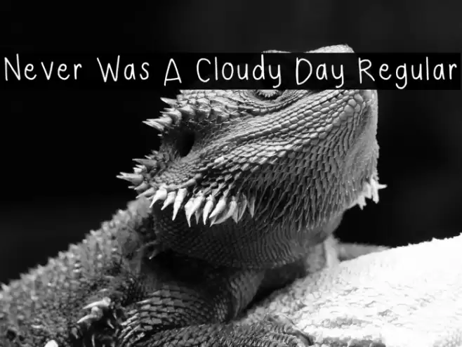 Never Was A Cloudy Day Regular 字体 examples