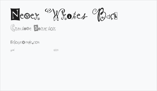 Never Writes Back Business Card