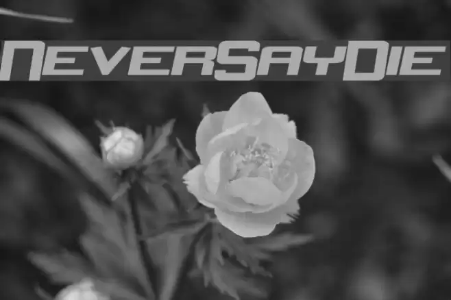 NeverSayDie Font examples