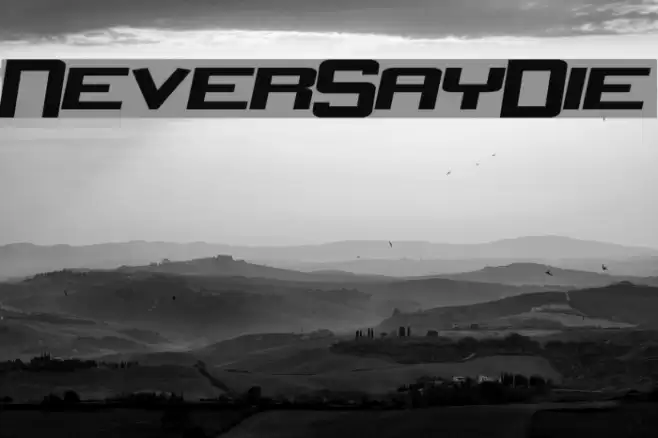 NeverSayDie Font examples